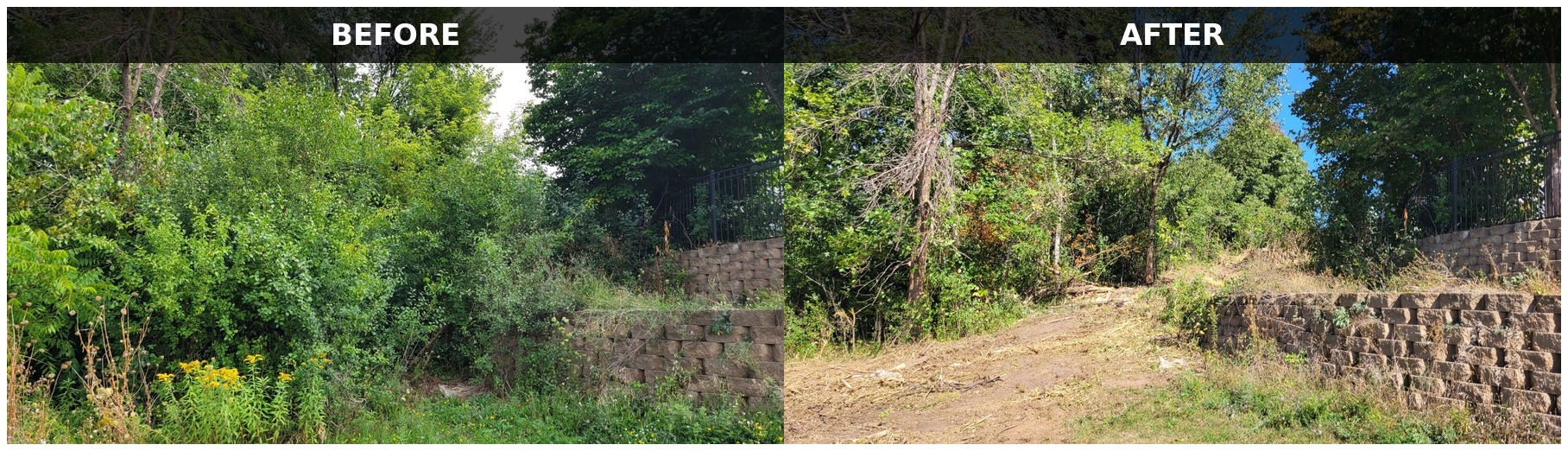 Before and after land clearing project showing an overgrown retaining wall and access area reopened