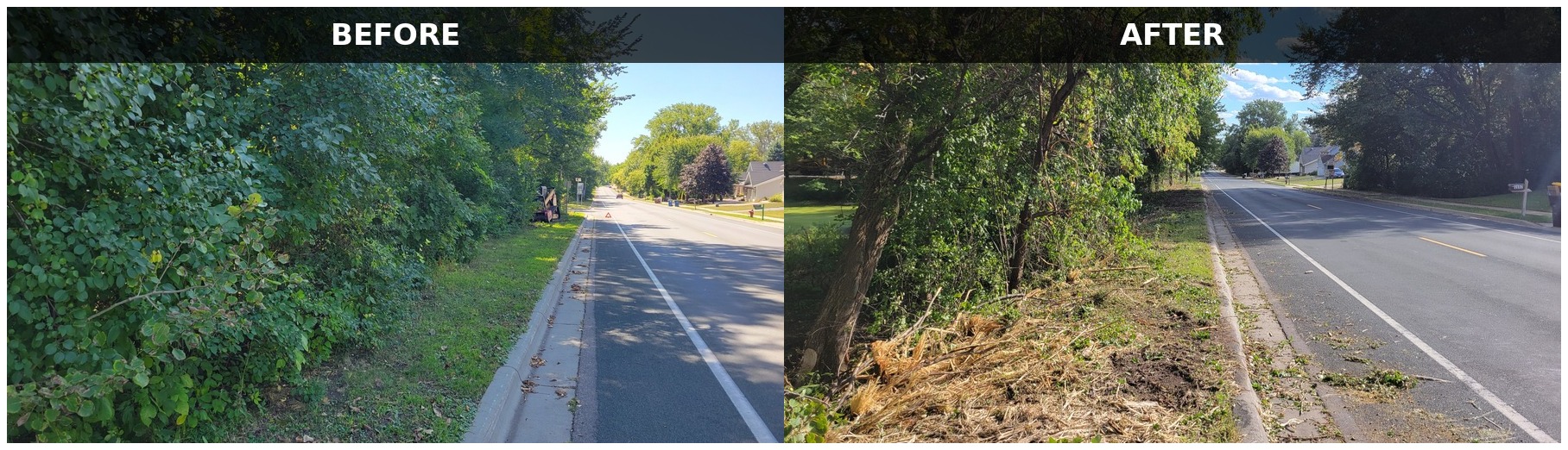Before and after roadside clearing project showing brush removed along the road edge