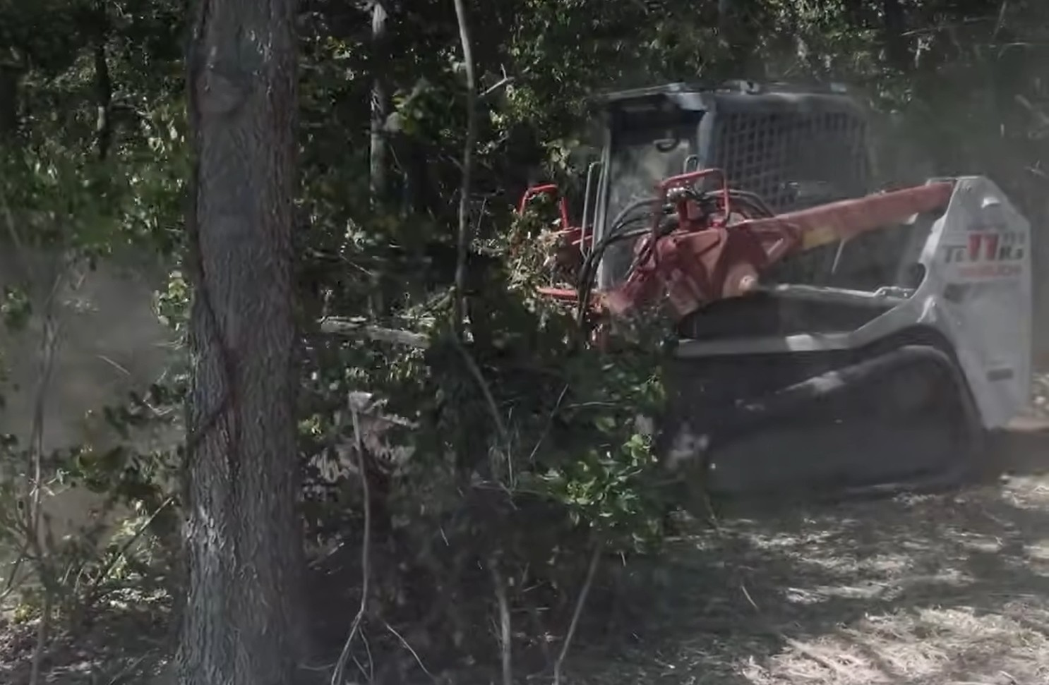 Track loader with mulching head opening a trail through woods